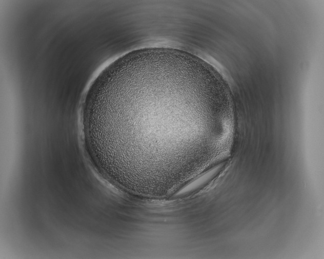 X0000111931120200908031112