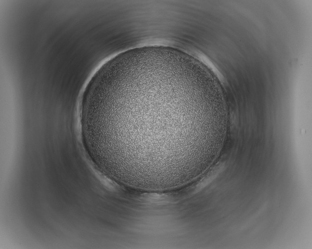 X0000111931124200908031112
