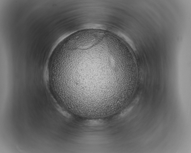 X0000111931125200908031112