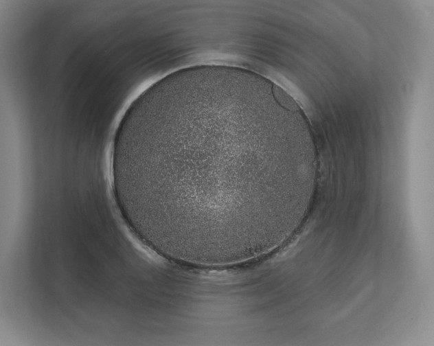 X0000111931128200908031113