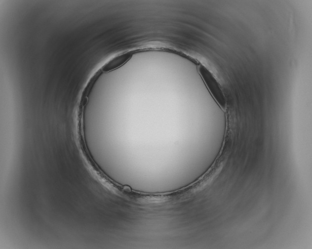 X0000111931134200908031113