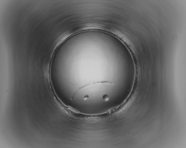 X0000111931137200908031113