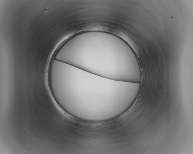 X0000111931139200908031113