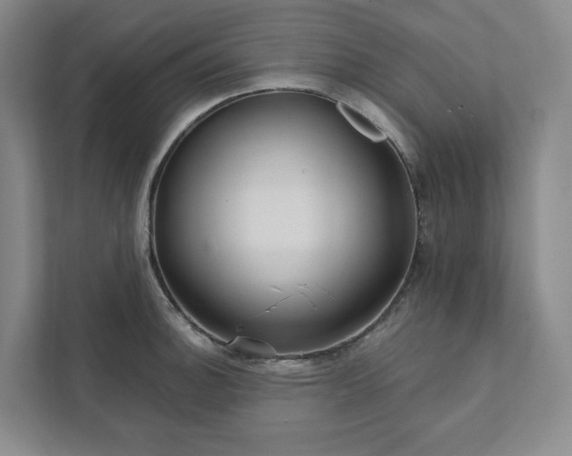 X0000111931140200908031113