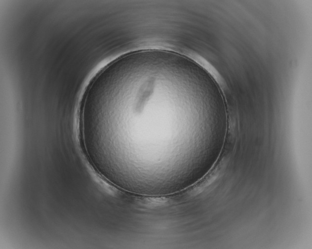 X0000111931144200908031113