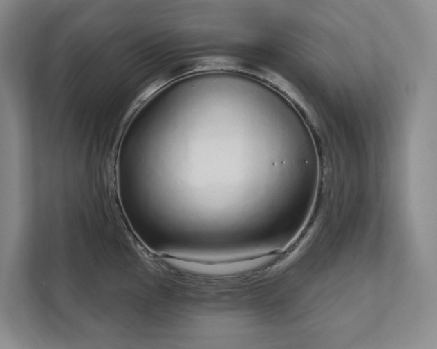 X0000111931145200908031113