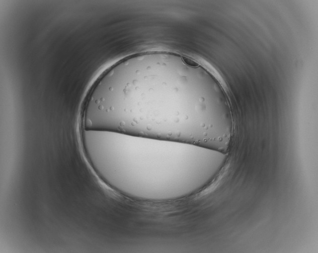 X0000111931149200908031113