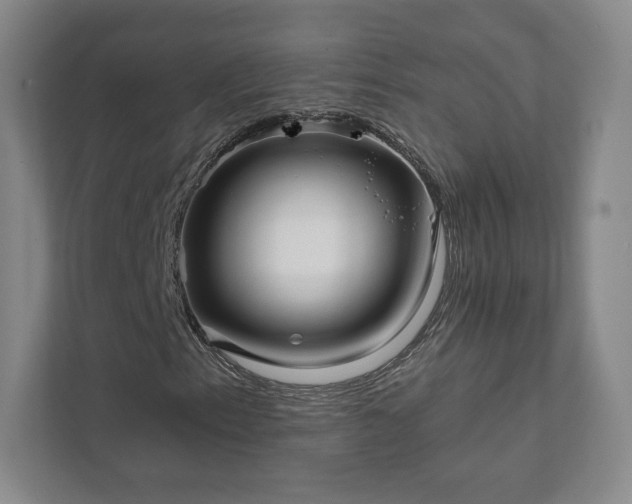 X0000111931153200908031112
