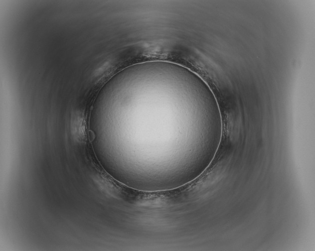 X0000111931154200908031112