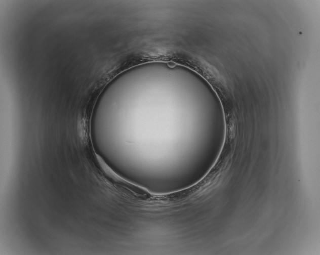 X0000111931156200908031112