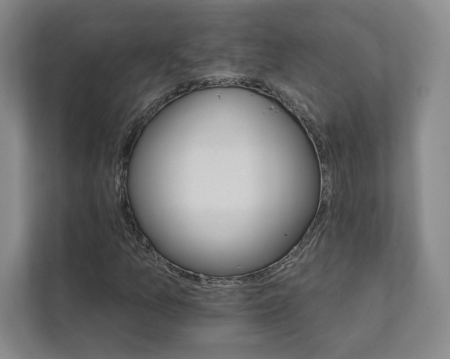X0000111931157200908031112