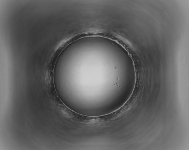 X0000111931160200908031112