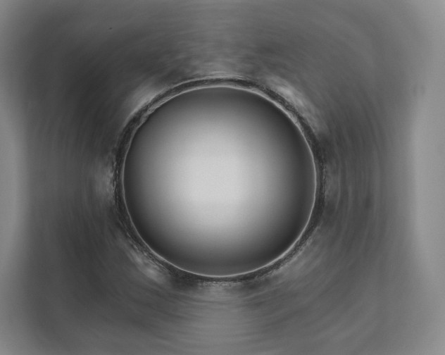 X0000111931163200908031112