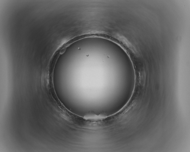 X0000111931165200908031112