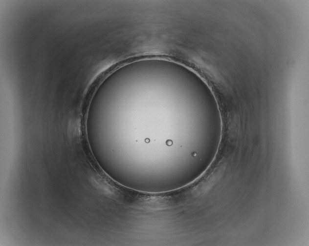 X0000111931166200908031112