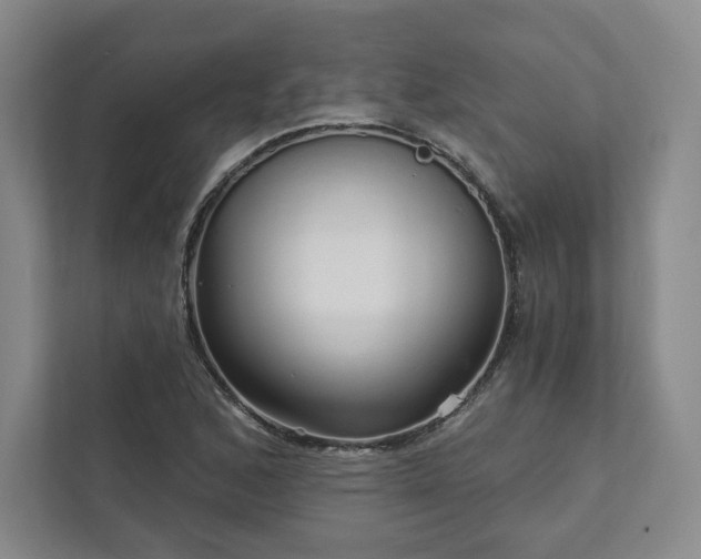 X0000111931168200908031112