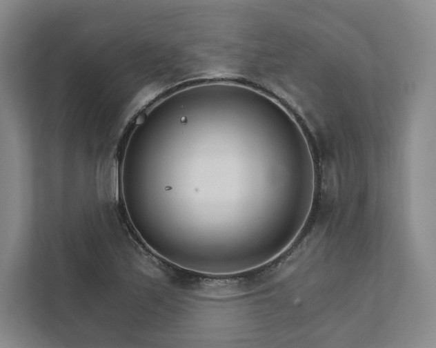 X0000111931171200908031112
