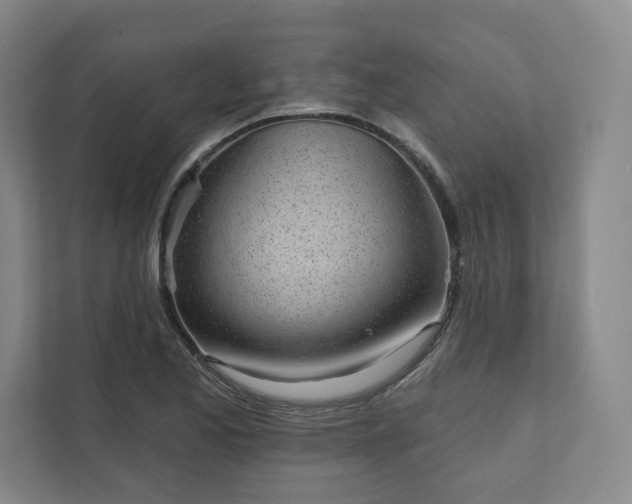 X0000111931173200908031112