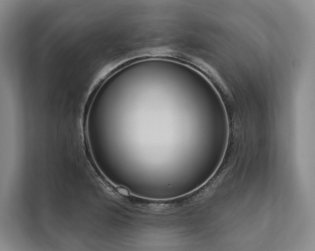X0000111931176200908031112