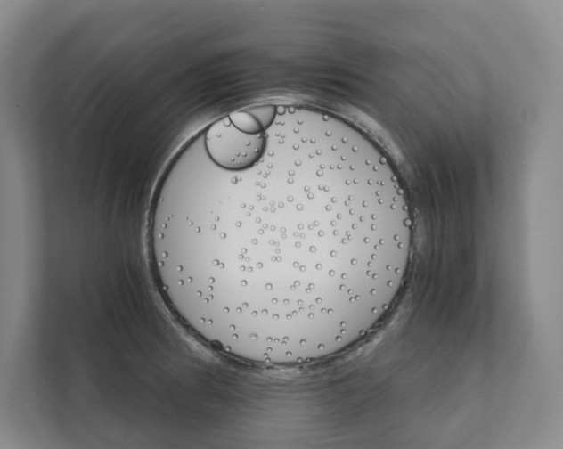 X0000111931186200908031112