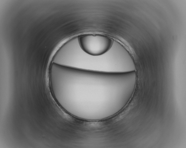 X0000111931188200908031112