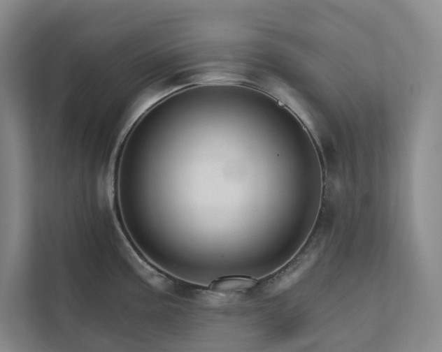X0000111931195200908031112