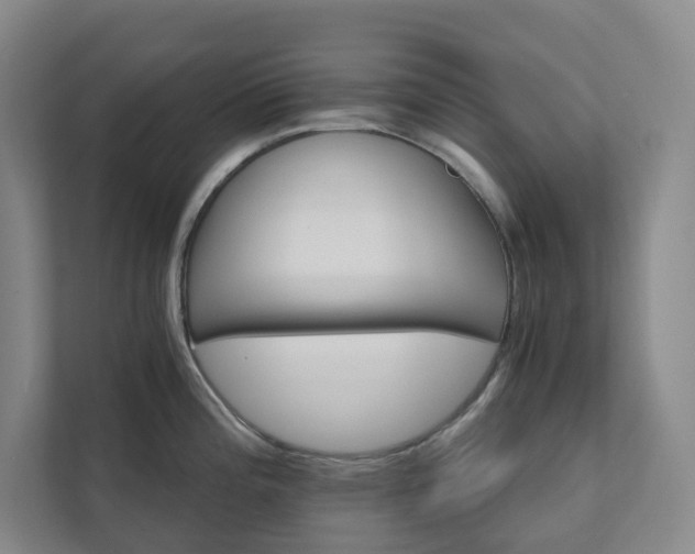 X0000111931196200908031112