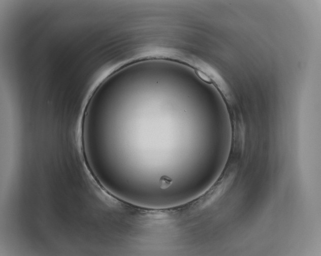 X0000111931199200908031112