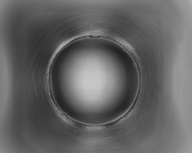 X0000111931200200908031112