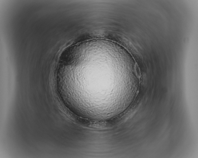 X0000111931201200908031111