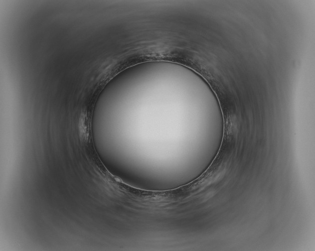 X0000111931202200908031111