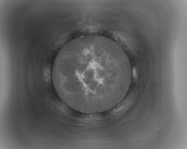X0000111931203200908031111