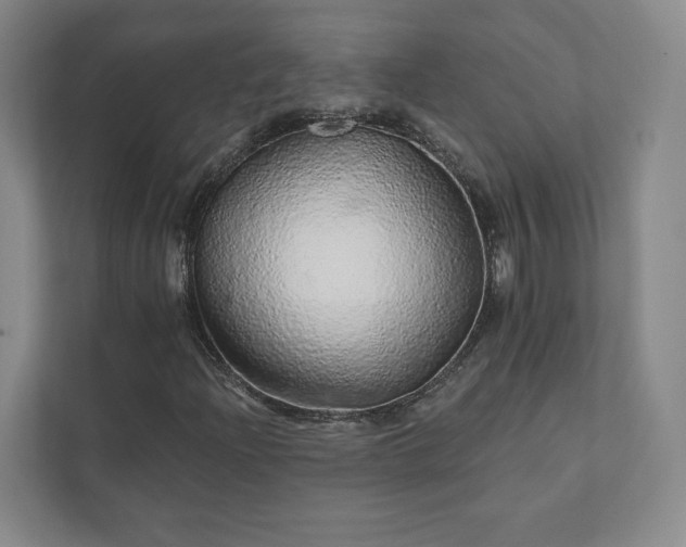 X0000111931204200908031111