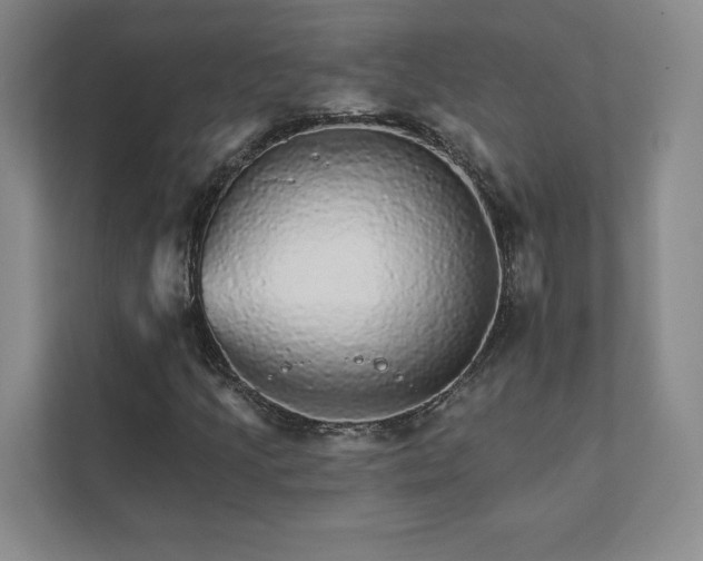 X0000111931205200908031111