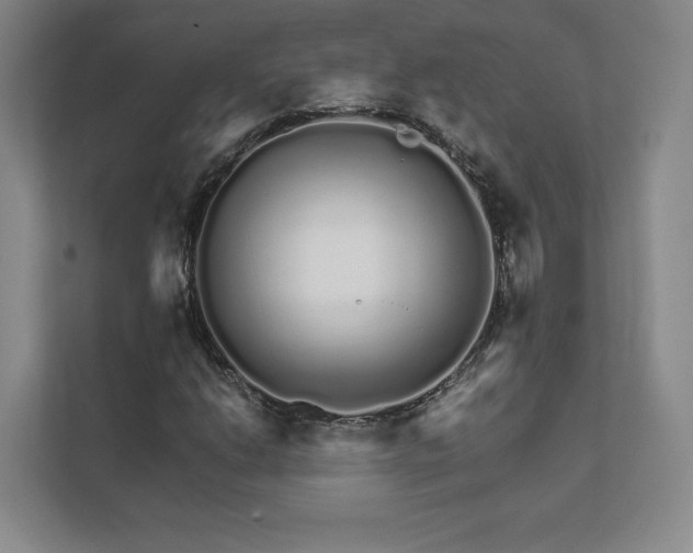 X0000111931206200908031111