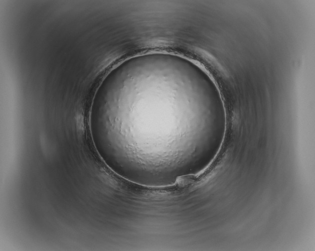 X0000111931209200908031111