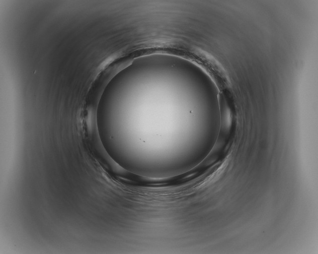 X0000111931210200908031111
