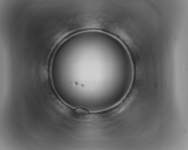 X0000111931212200908031111