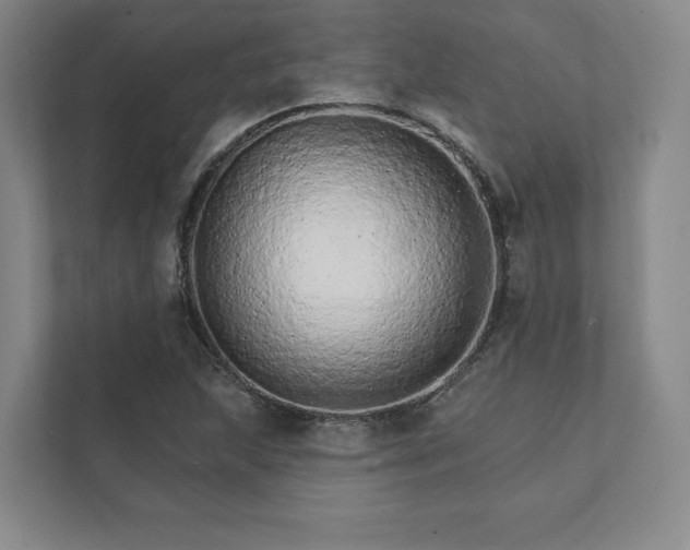 X0000111931215200908031111