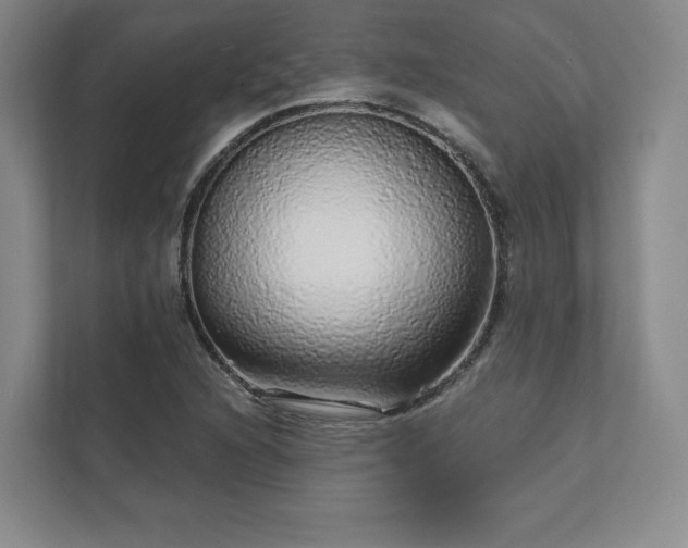 X0000111931216200908031111