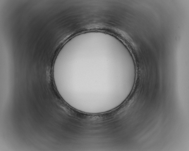 X0000111931217200908031111