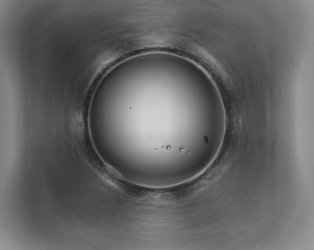X0000111931218200908031111