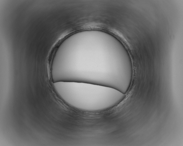 X0000111931219200908031111
