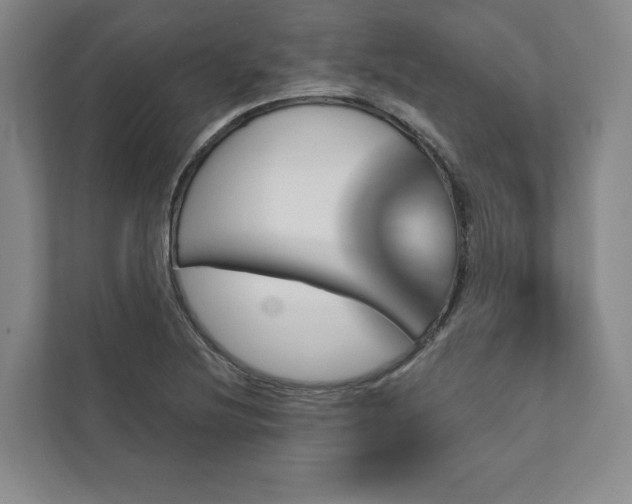 X0000111931220200908031111