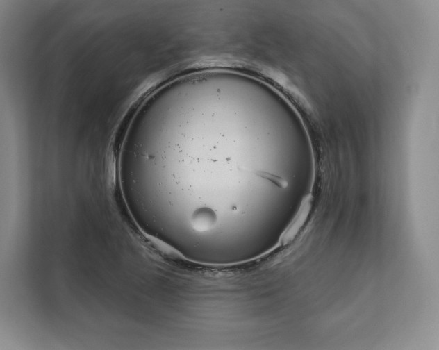 X0000111931221200908031111