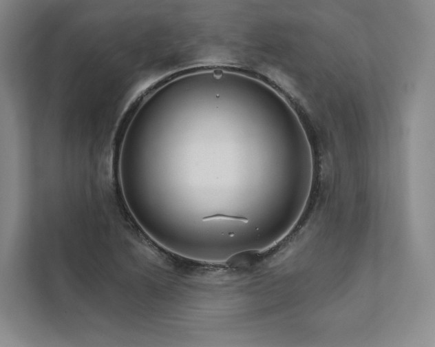 X0000111931222200908031111