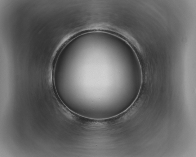 X0000111931224200908031111