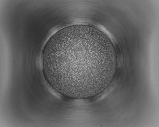 X0000111931227200908031111