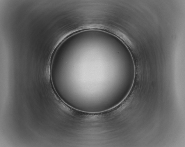 X0000111931228200908031111
