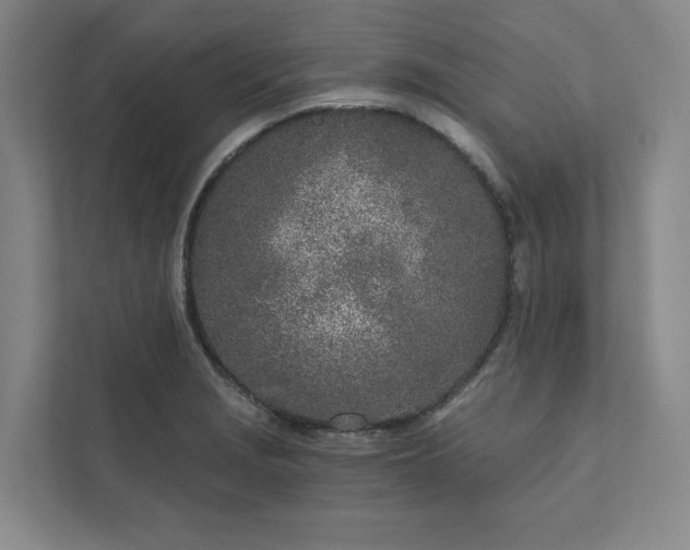 X0000111931229200908031111